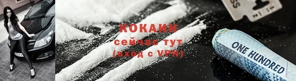 мяу мяу мука Сясьстрой