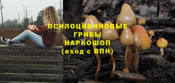 мяу мяу мука Сясьстрой