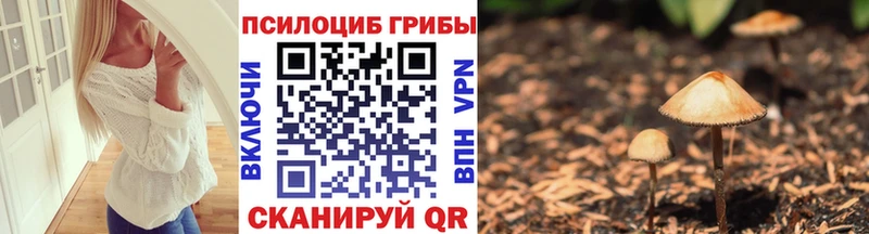 где можно купить наркотик  Хабаровск  Галлюциногенные грибы MAGIC MUSHROOMS 